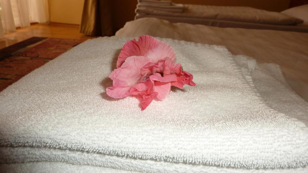 Hotel Banderium 3*